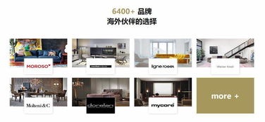 面對中美科技競爭力的差距,我們應(yīng)該如何應(yīng)對